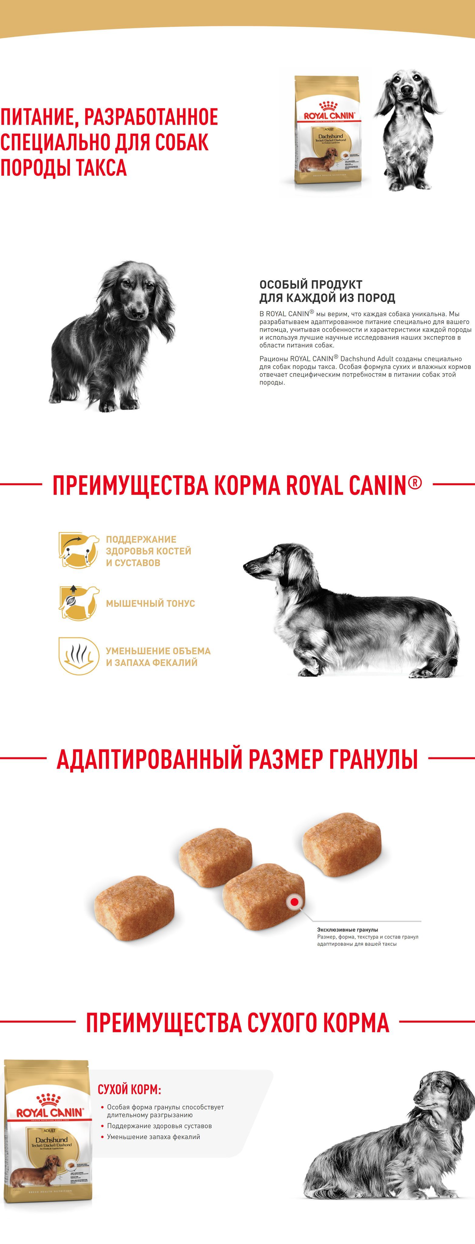 Royal canin dachshund 7 best sale 5 kg