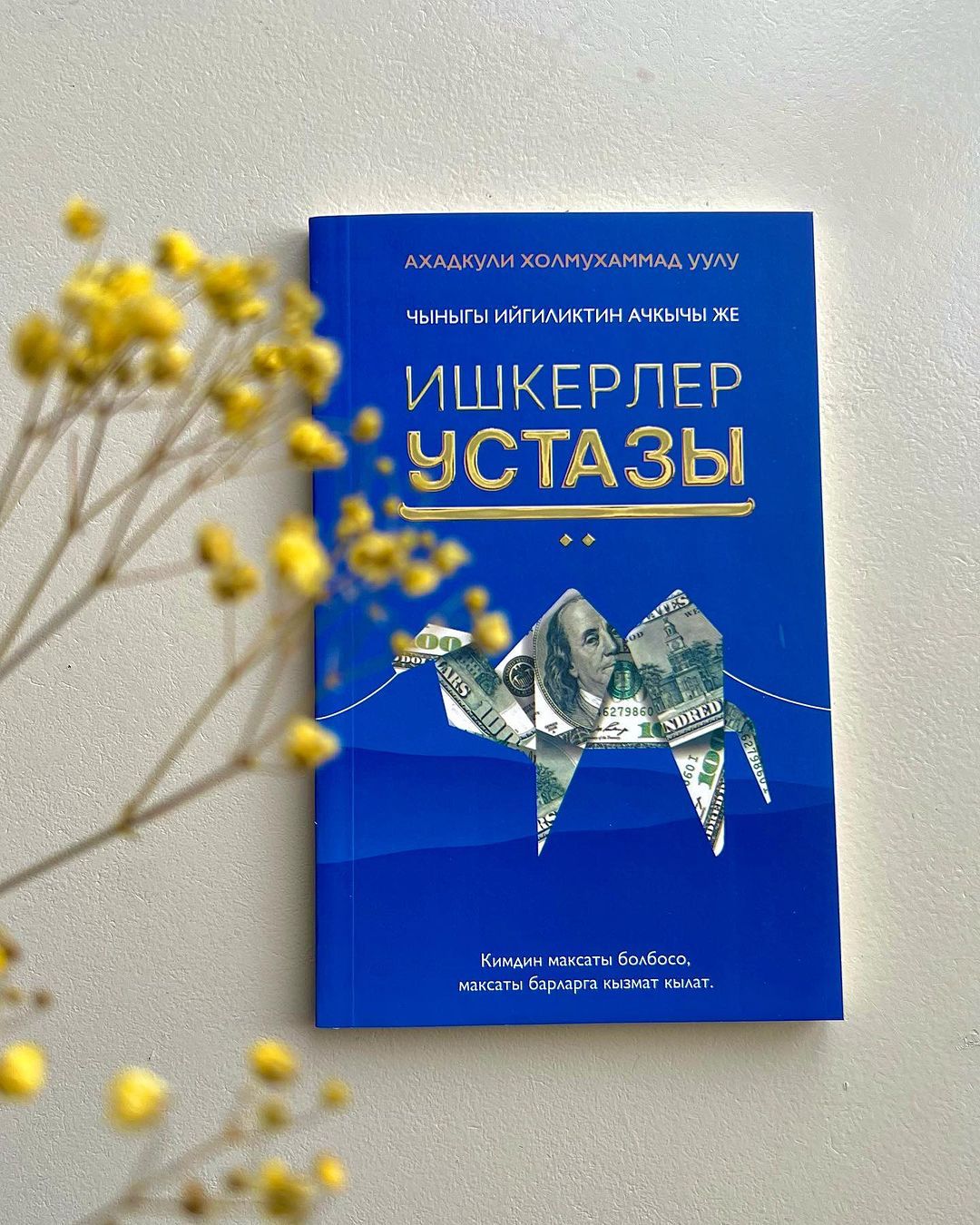 Хиллари Клинтон порно Надя Грановская кеудесіне арналған экспресс-газетті көрсетті
