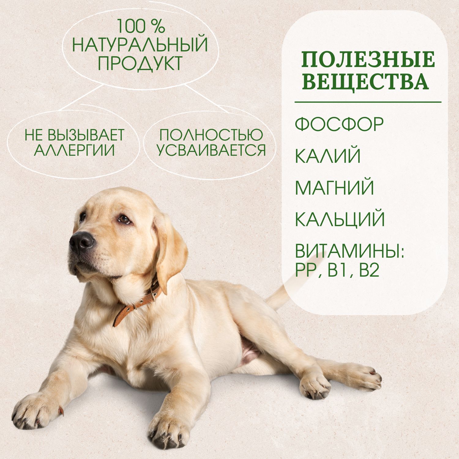 Натуральные лакомства для собак Рубец говяжий - купить с доставкой по ...