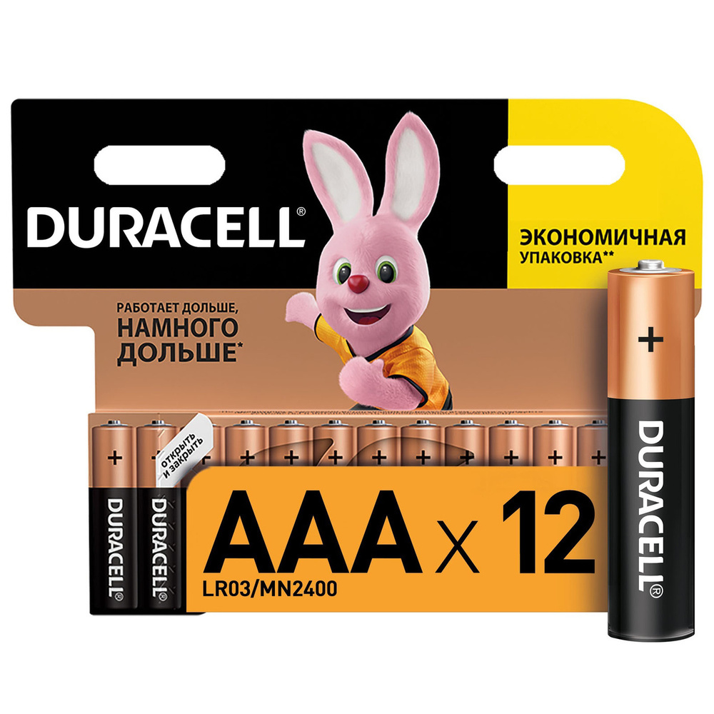 Duracell Батарейки щелочные серия Basic AAA/LR03 12 шт #1