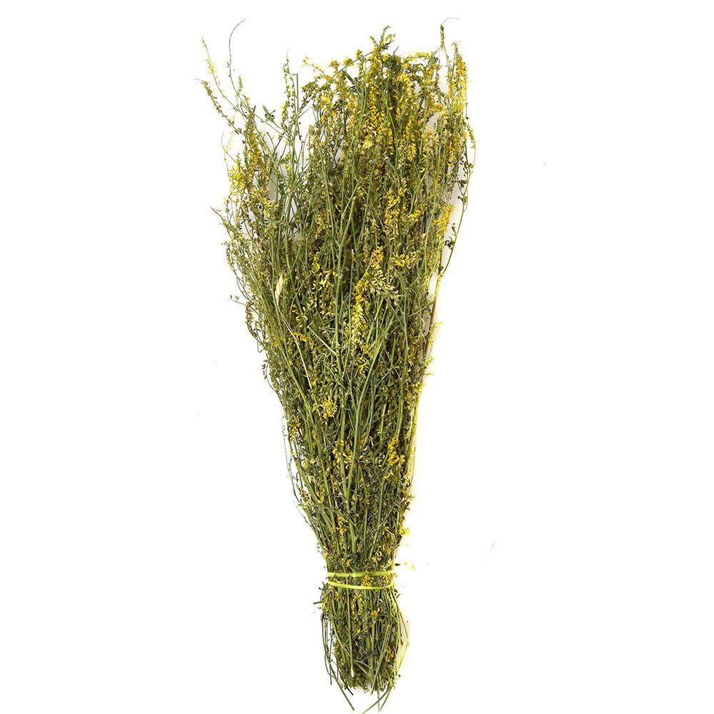 Веник донника, большой, ИзЧувашии - Веник для бани, купить в интернет ...