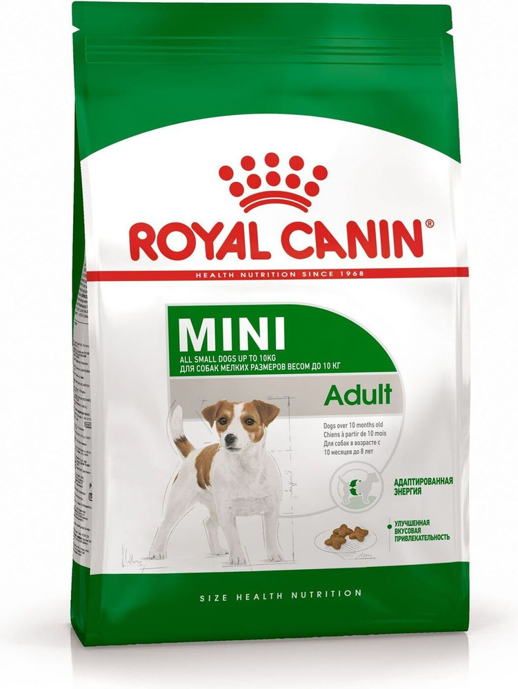 royal canin mini senior dog food