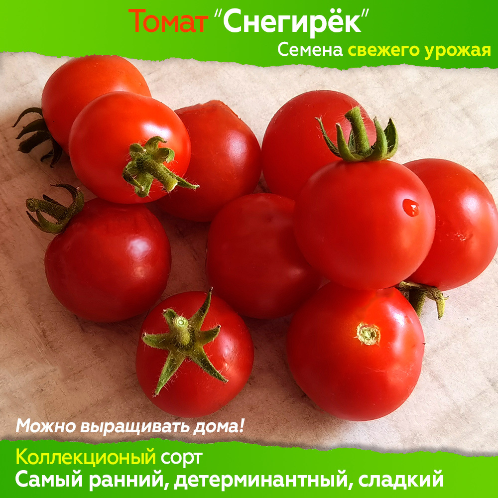 Семена томата Снегирёк - коллекционный сорт #1