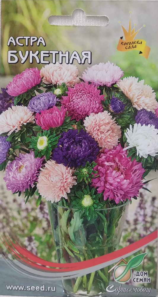 Декоративные разные, Астры однолетние Дом Семян Астра Букетная смесь ...