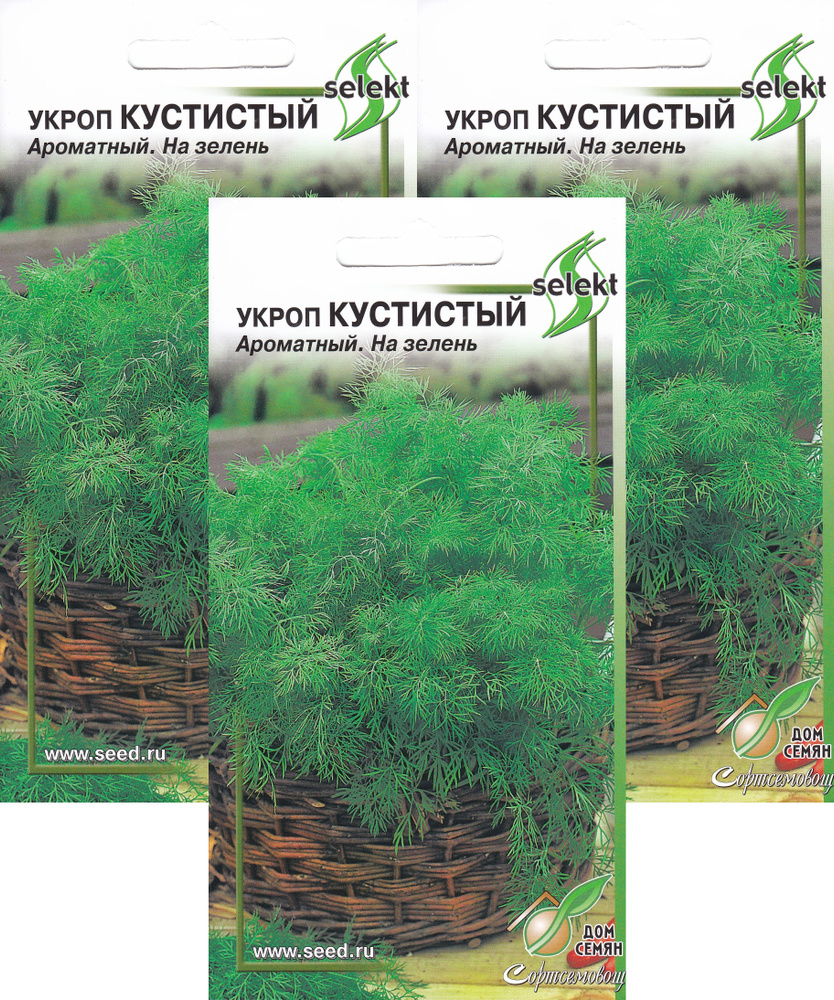 Укроп Кустистый, суперароматный и мегаурожайный, 3 упаковки по 750 семян