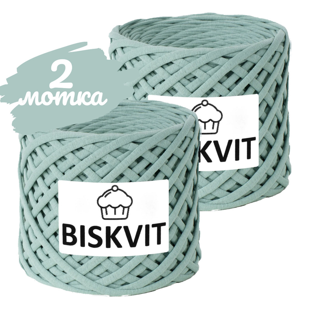 Трикотажная пряжа Biskvit мятное суфле, 100м., лицевая, 2 шт. (бисквит)  #1