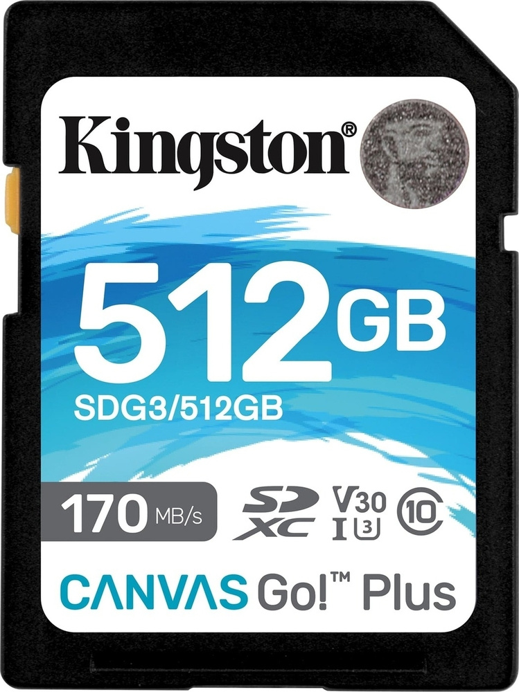 512 Гб Карта памяти Kingston Canvas Go (SDG3/512GB), SDXC #1