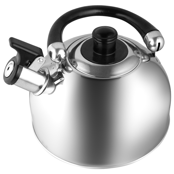 Чайник WEBBER BE-0527 #1