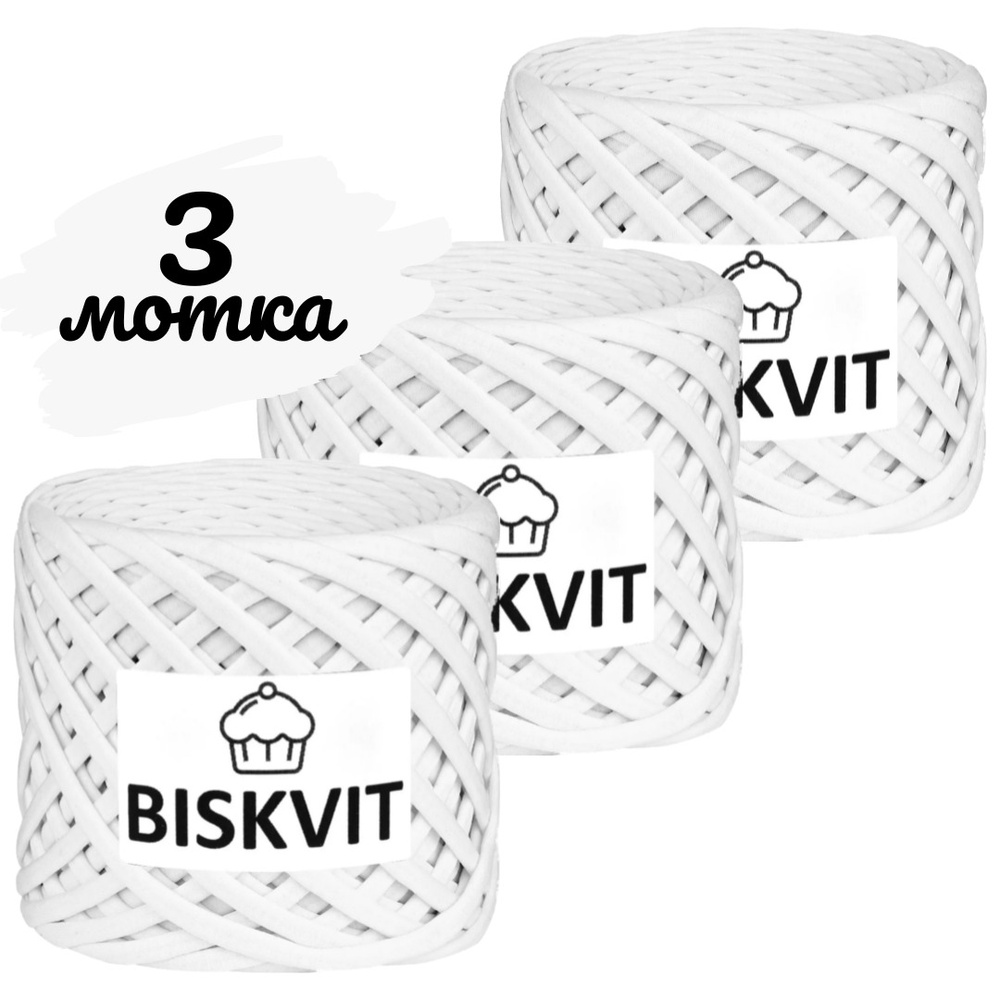 Трикотажная пряжа Biskvit кокос, 100м., лицевая,3шт. (бисквит)  #1