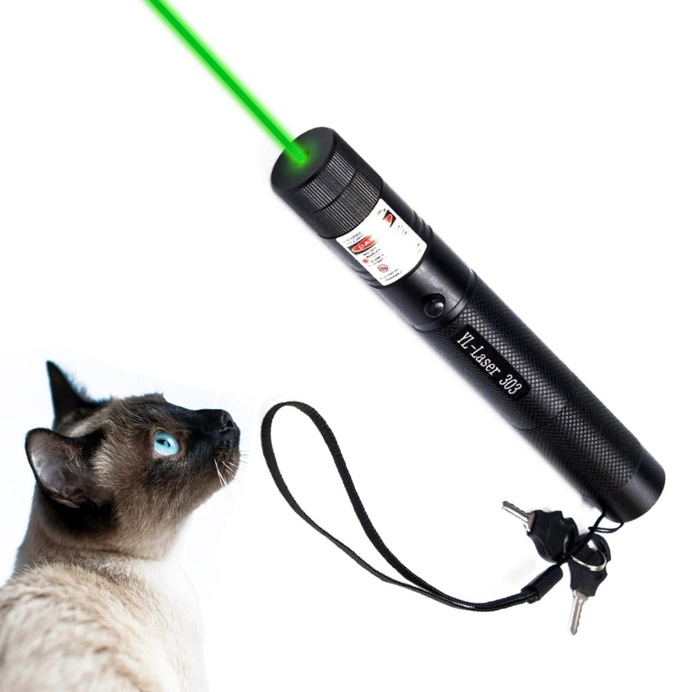 Лазерная указка мощная / Лазер для кошек - купить с доставкой по выгодным  ценам в интернет-магазине OZON (906285413)