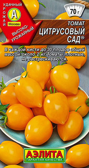 Томат Цитрусовый сад в кисти до 30 плодов массой 2 кг #1