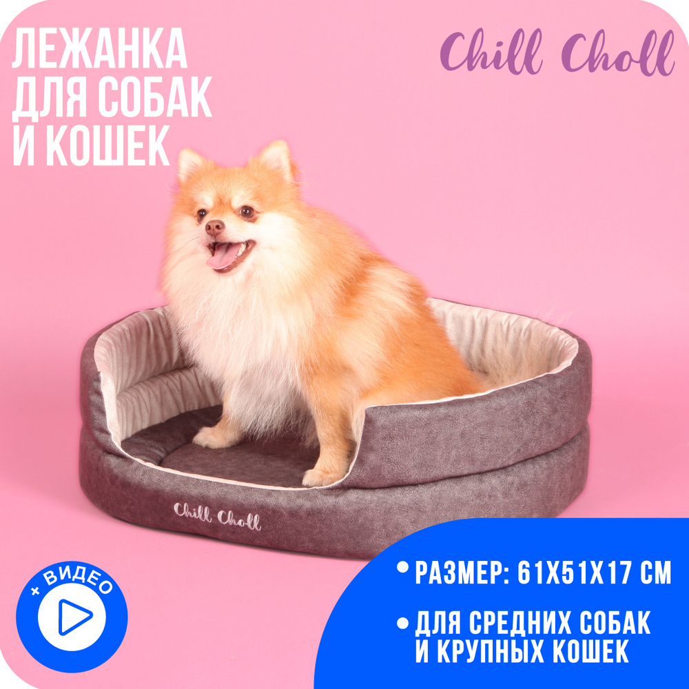 Лежанка для собак и кошек Chill Choll/ 61х51х17 см/ цвет графит - купить с  доставкой по выгодным ценам в интернет-магазине OZON (298904584)