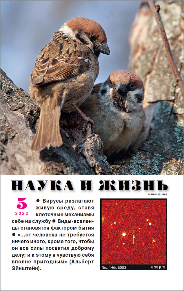 Наука и жизнь - май 2022. Российский научно-популярный журнал #1
