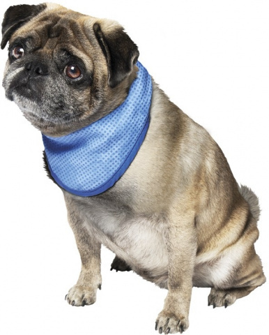 Бандана д/собак охлаждающая COOLING-BANDANA 18/30см #1