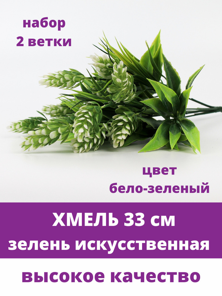 Хмель, искусственная зелень, цвет бело-зеленый, букет 33 см, набор 2 штуки  #1