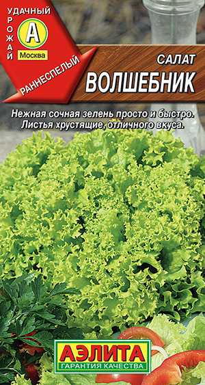 Семена Салат Волшебник Полукочанный (0,5г) - Аэлита #1