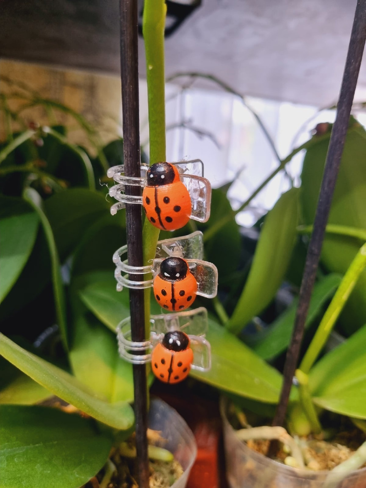 Клипса для орхидей "Оранжевые божьи коровки", зажимы для цветоносов ...