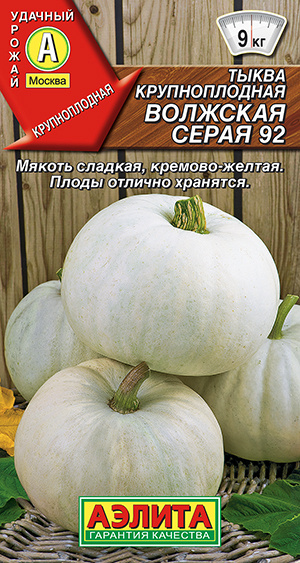 Семена Тыква крупноплодная Волжская серая 92 (2г)- Аэлита  #1