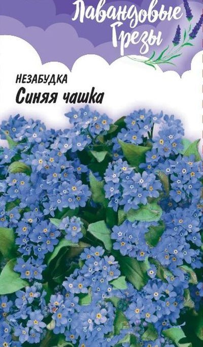 Незабудка Синяя чашка #1