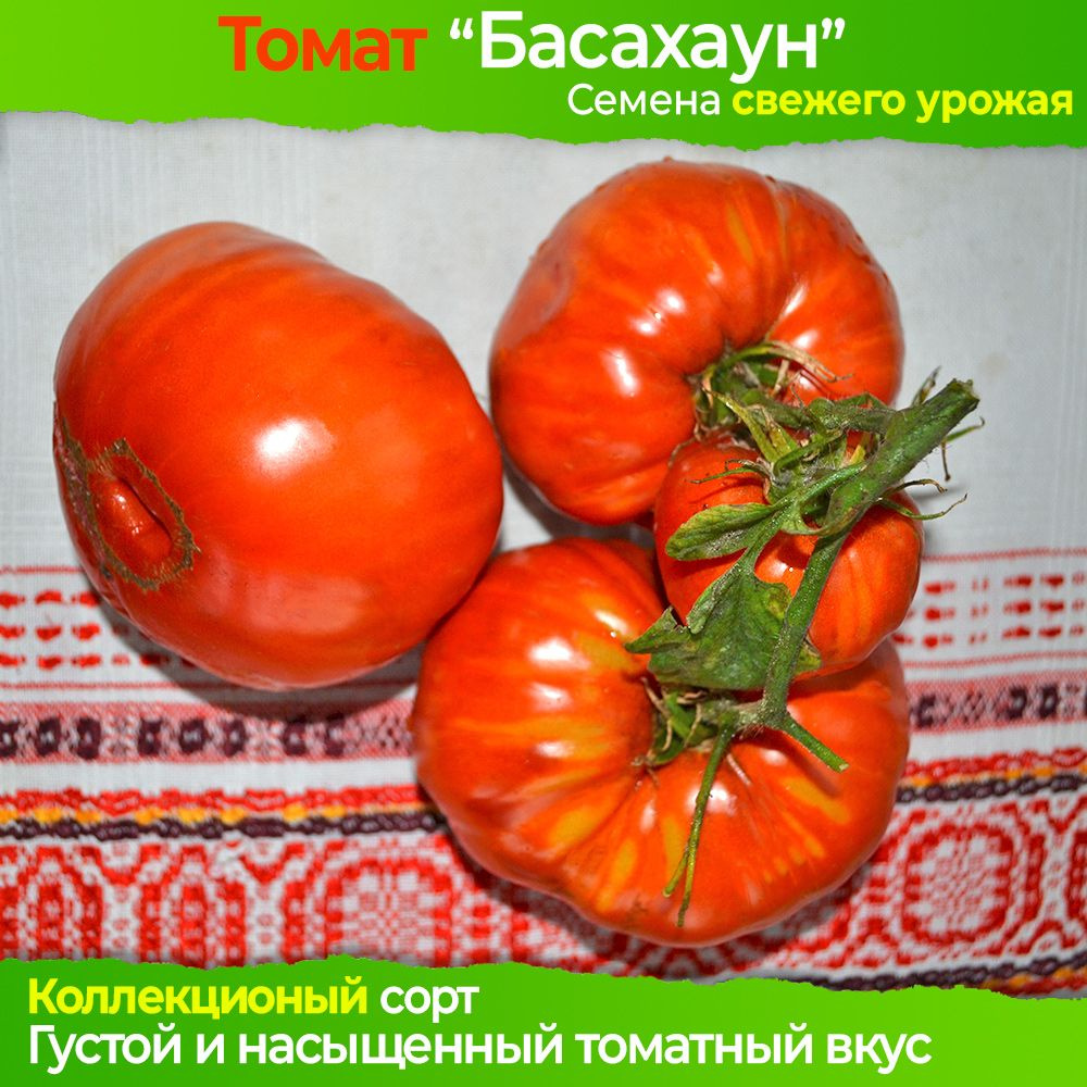 Семена томата Басаджаун - коллекционный сорт #1