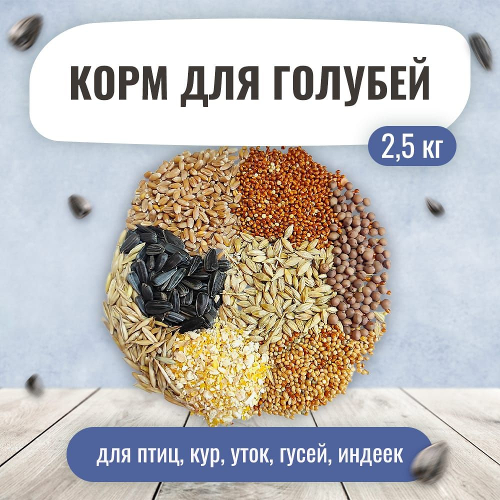 Корм для голубей 2.5 кг. Зерносмесь для птиц кур, уток, гусей, индеек -  купить с доставкой по выгодным ценам в интернет-магазине OZON (771844531)