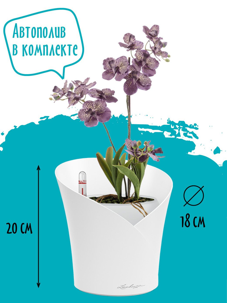 Кашпо для орхидей цветов с автополивом пластиковое Lechuza ORCHIDEA ...