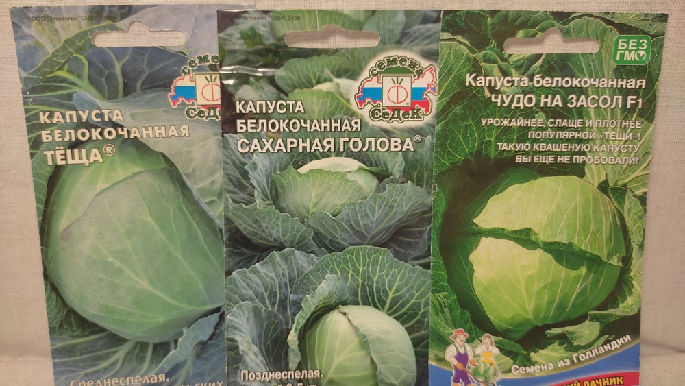 Капуста крюмон. Сорта капусты. Капуста белокочанная диадема. Капуста белокочанная московская поздняя 15. Сорта капусты белокочанной для хранения на зиму сорта.