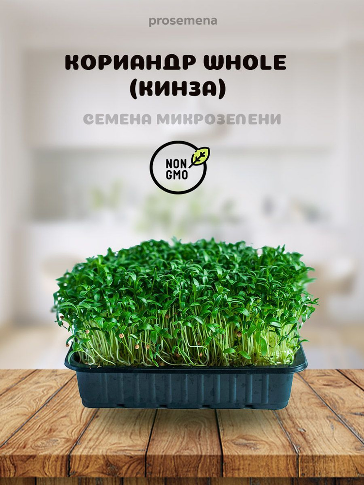 Семена микрозелени Кориандр Whole (кинза) 100 г #1