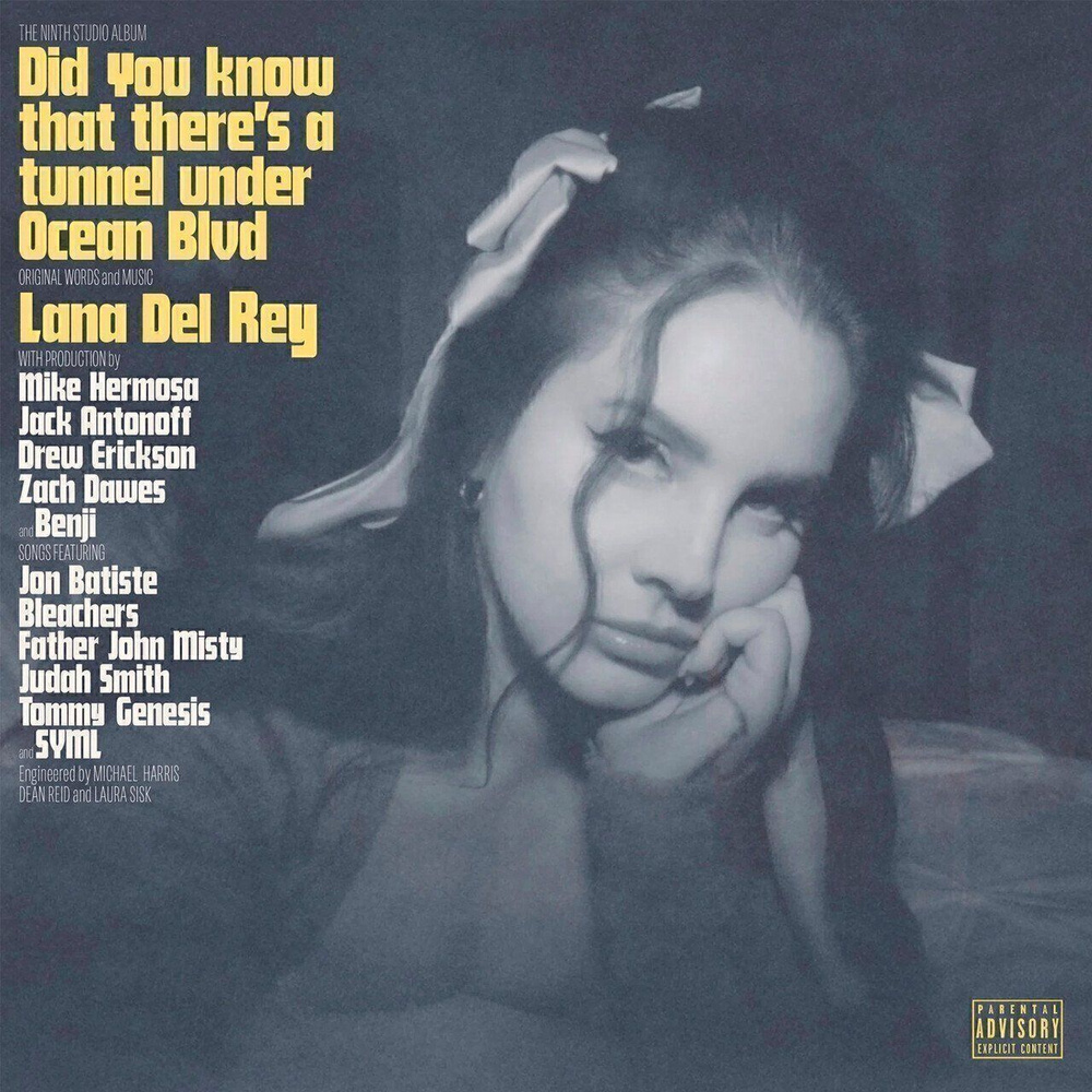 Виниловая пластинка Lana Del Rey. Did You Know That Theres A Tunnel Under  Ocean Blvd (2 LP) - купить с доставкой по выгодным ценам в  интернет-магазине OZON (922764797)