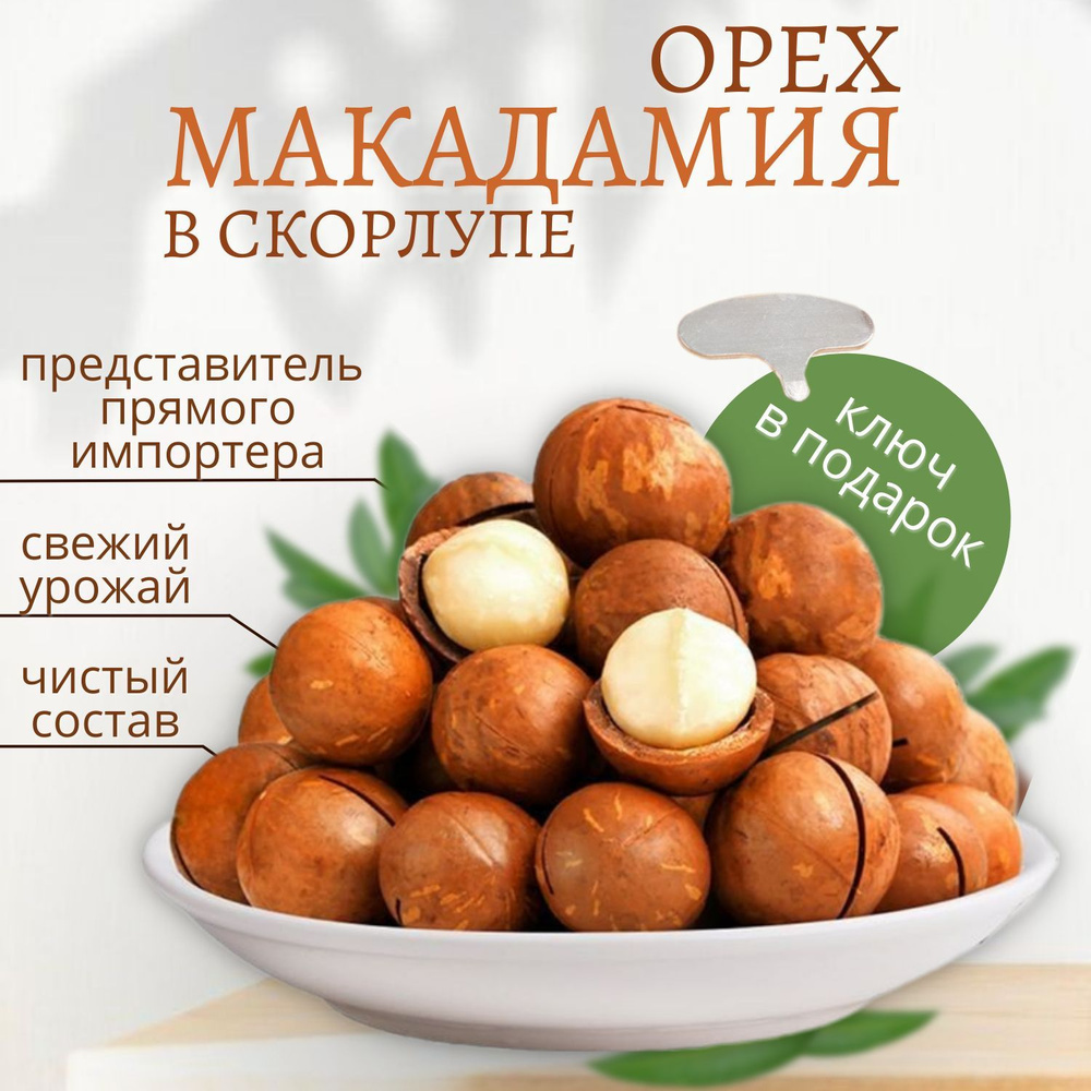 макадамия орех, ключ в подарок/ Paradise fruits - купить с доставкой по ...