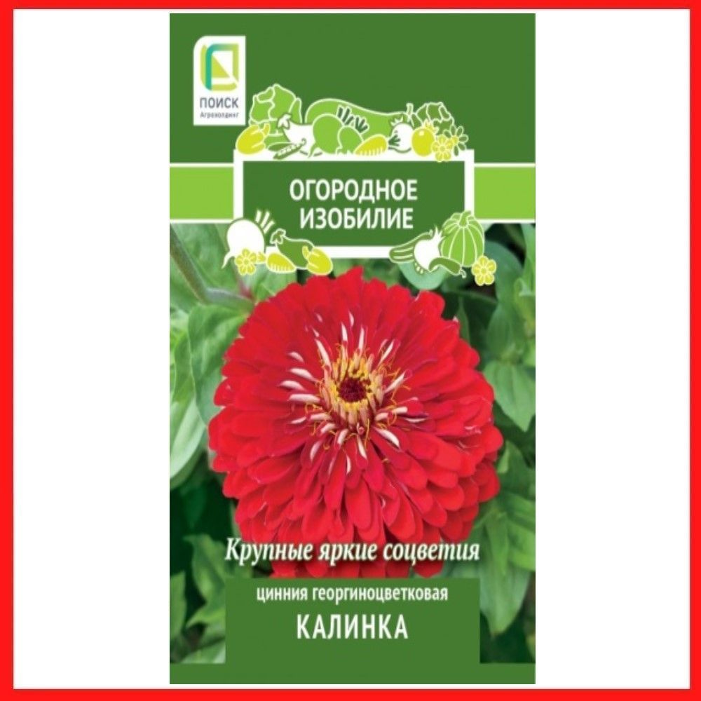 Семена Цинния георгиноцветковая "Калинка" 0,4 гр, однолетние цветы для дачи, сада и огорода, клумбы, #1