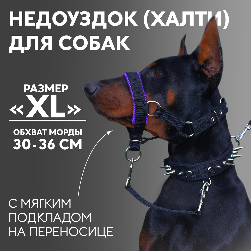 Недоуздок(халти) TESLA COLLAR для собак "XL" с фиолетовым подкладом  #1