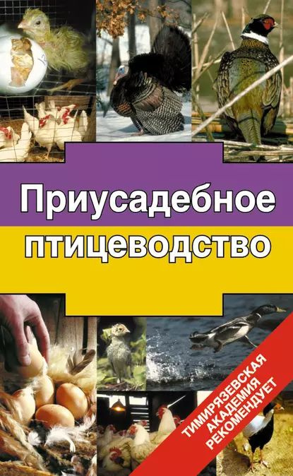 Приусадебное птицеводство | Бондарев Эдуард Иванович | Электронная книга  #1