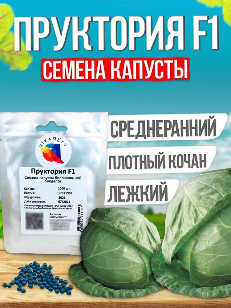 ПРУКТОРИЯ F1 семена капусты белокочанной, 1000 шт (Syngenta / ALEXAGRO). Высокоурожайный, среднеранний #1