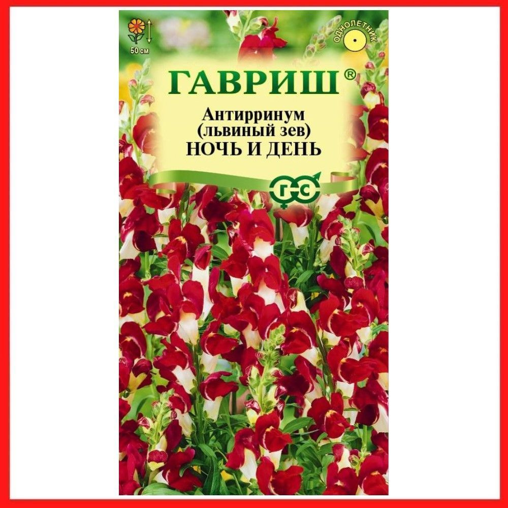 Семена Антирринум "Ночь и день" Львиный зев 0,05 гр, однолетние цветы для дачи, сада и огорода, клумбы, #1