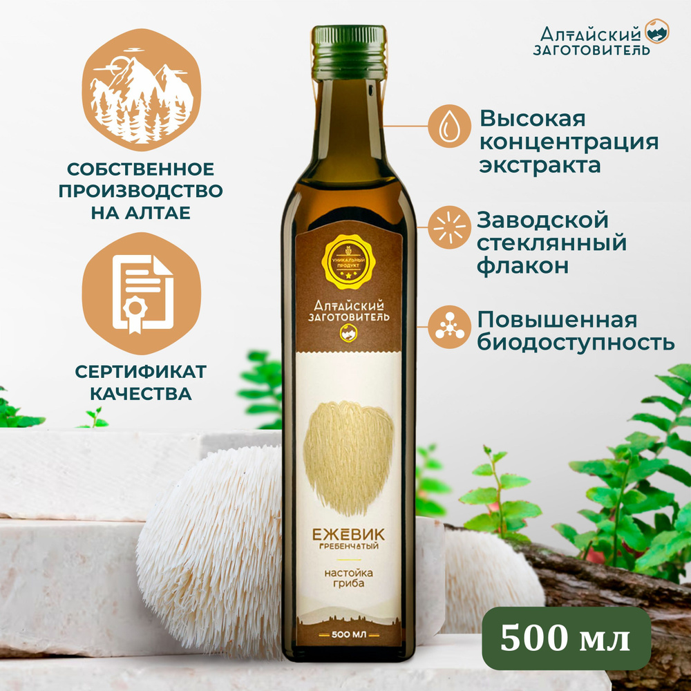 Экстракт настойка гриба Ежевик гребенчатый/ Ежовик/ Lions Mane - Алтайский  заготовитель, 500 мл - купить с доставкой по выгодным ценам в  интернет-магазине OZON (562065048)