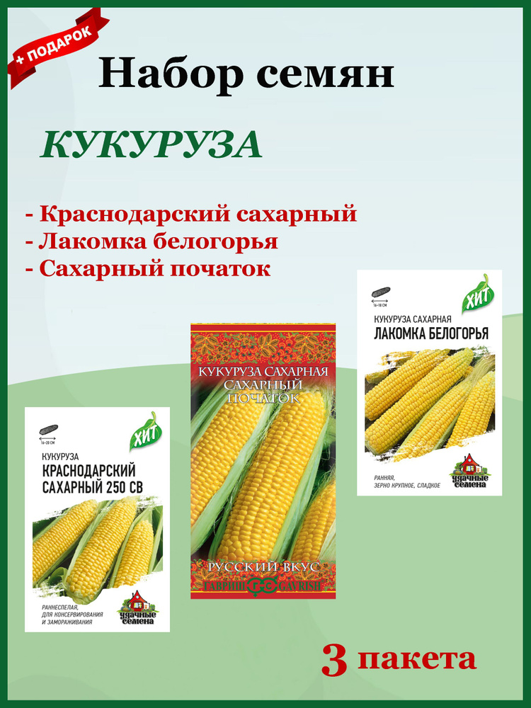 Семена Кукуруза 3 шт. Набор №1 (Гавриш) Краснодарский сахарный CВ 250 F1, Лакомка Белогорья, Сахарный #1