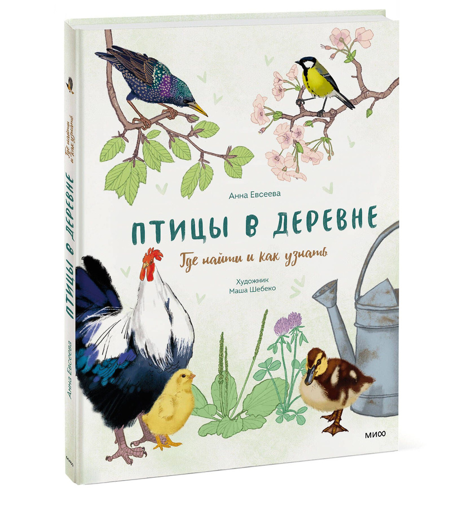 Птицы в деревне. Где найти и как узнать | Евсеева Анна - купить с доставкой  по выгодным ценам в интернет-магазине OZON (920634441)