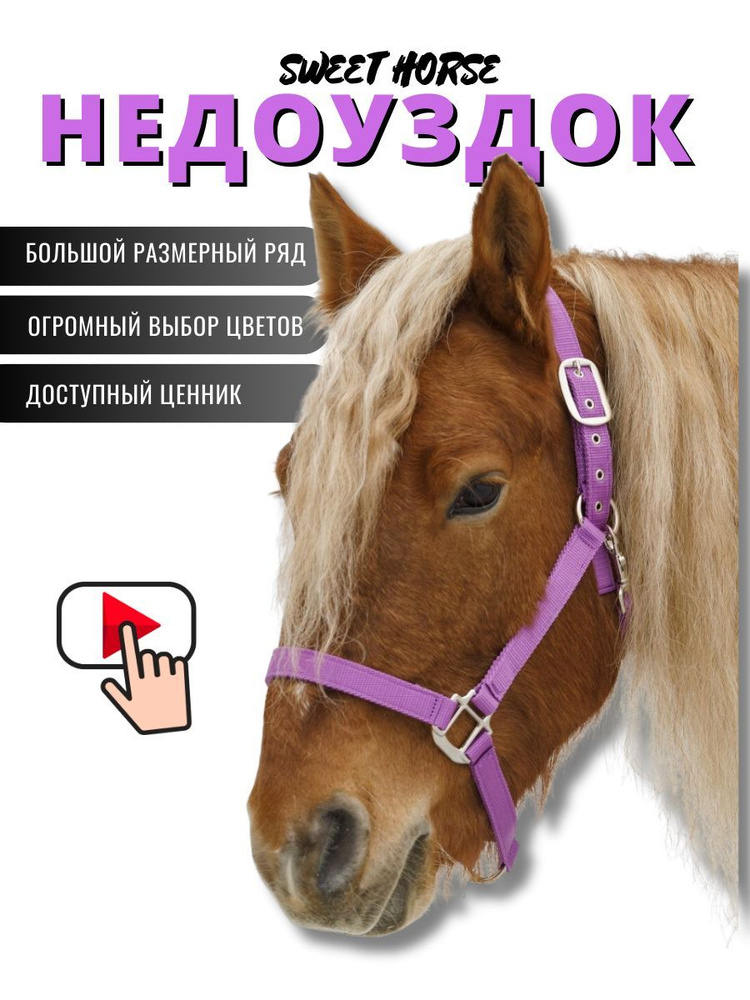 Sweethorse / Недоуздок для лошади и пони SHETTY - купить с доставкой по ...