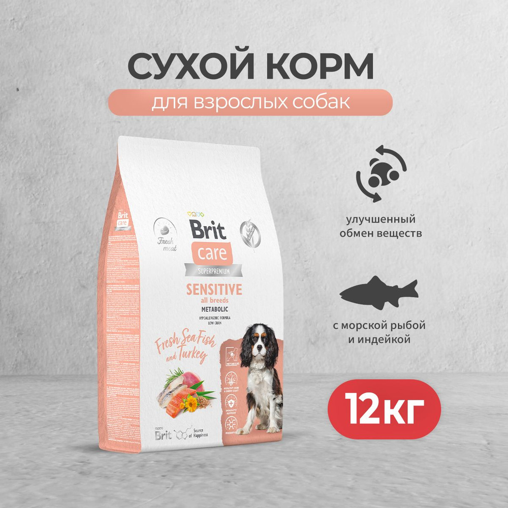 Metabolic dog best sale