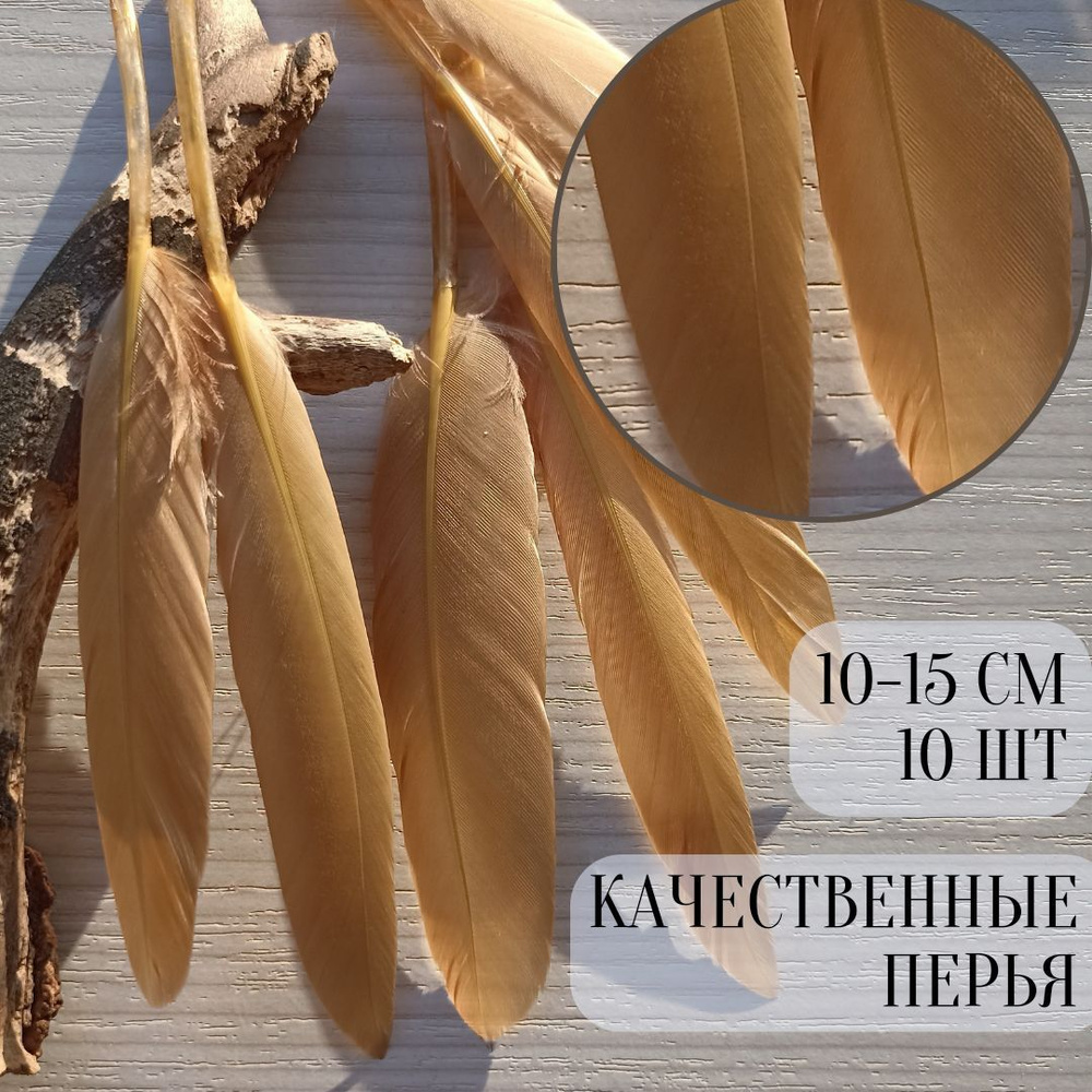 Гусиные перья. 10 шт. 8-15 см. Горчица. Товары для творчества и ...