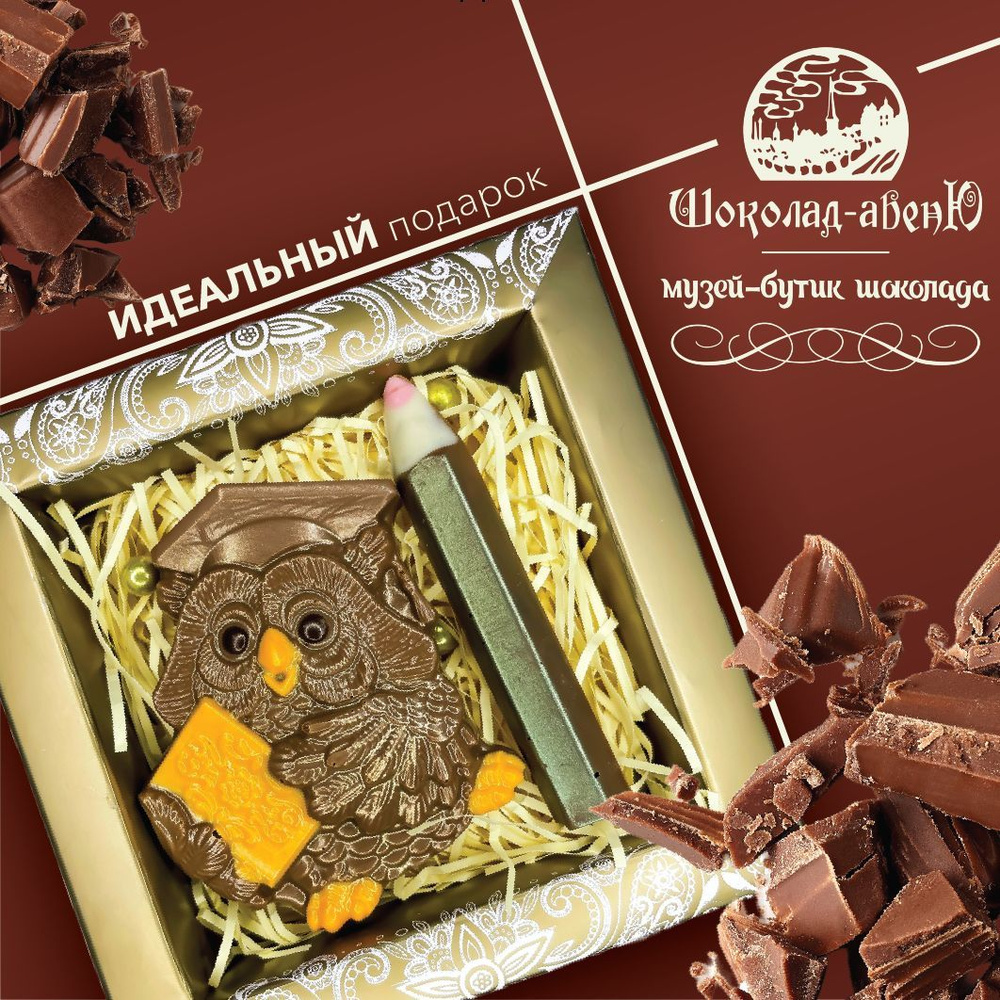 Набор фигурного шоколада ручной работы "Учёная сова" 75г  #1