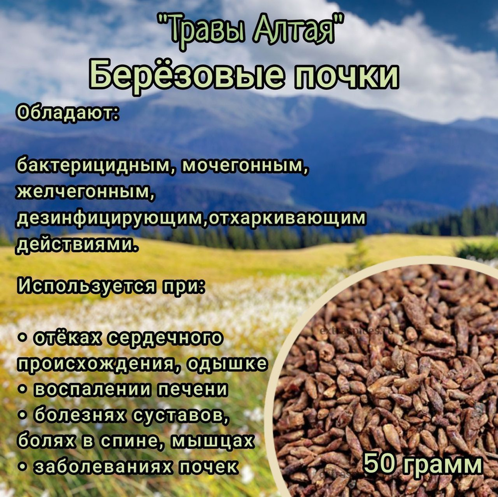 Берёзовые почки (мочегонное, желчегонное, ранозаживляющее), 