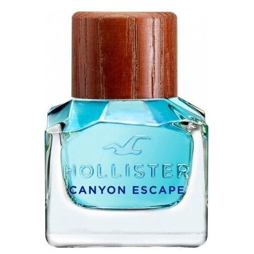 Hollister, Canyon Escape Man, 100 мл., Туалетная вода мужская (Kpaфтoвaя Kopoбka)  #1