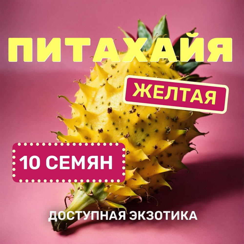 Кактус Плантаго Exotica_10_Dragon Fruit Yellow - купить по выгодным ценам в  интернет-магазине OZON (1227417234)