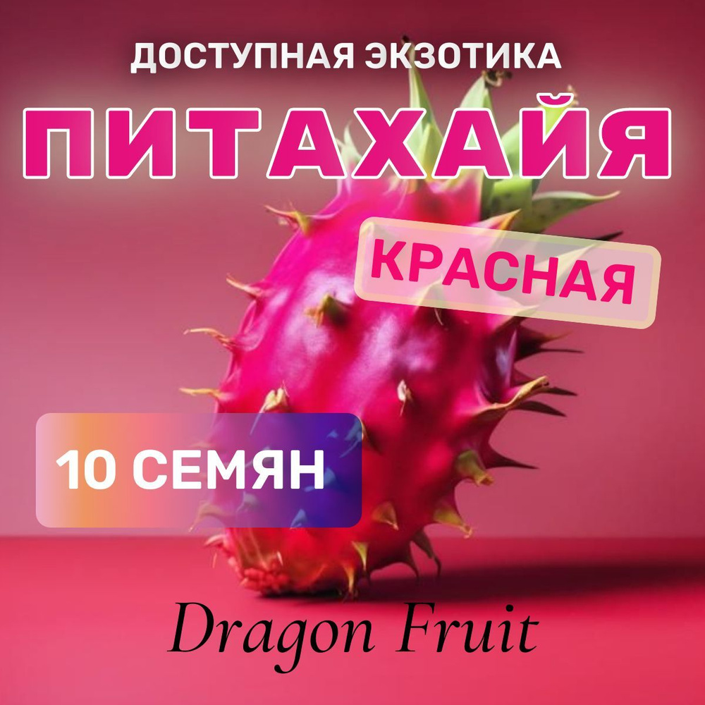 Кактус Плантаго Exotica_10_Dragon Red - купить по выгодным ценам в  интернет-магазине OZON (1227420356)