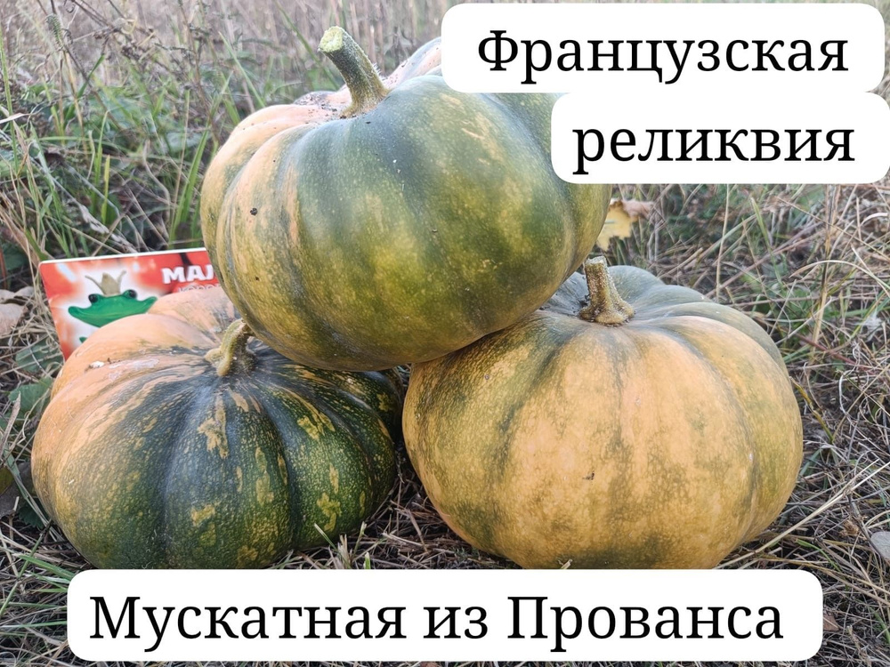 Семена #1