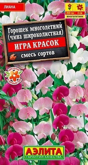 ГОРОШЕК МНОГОЛЕТНИЙ ИГРА КРАСОК. Семена. Вес 0,5 гр. Многолетняя, зимостойкая, травянистая лиана из семейства #1