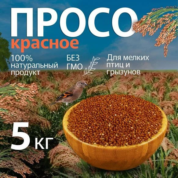 Семена и корм для птиц | Ehituse ABC e-pood