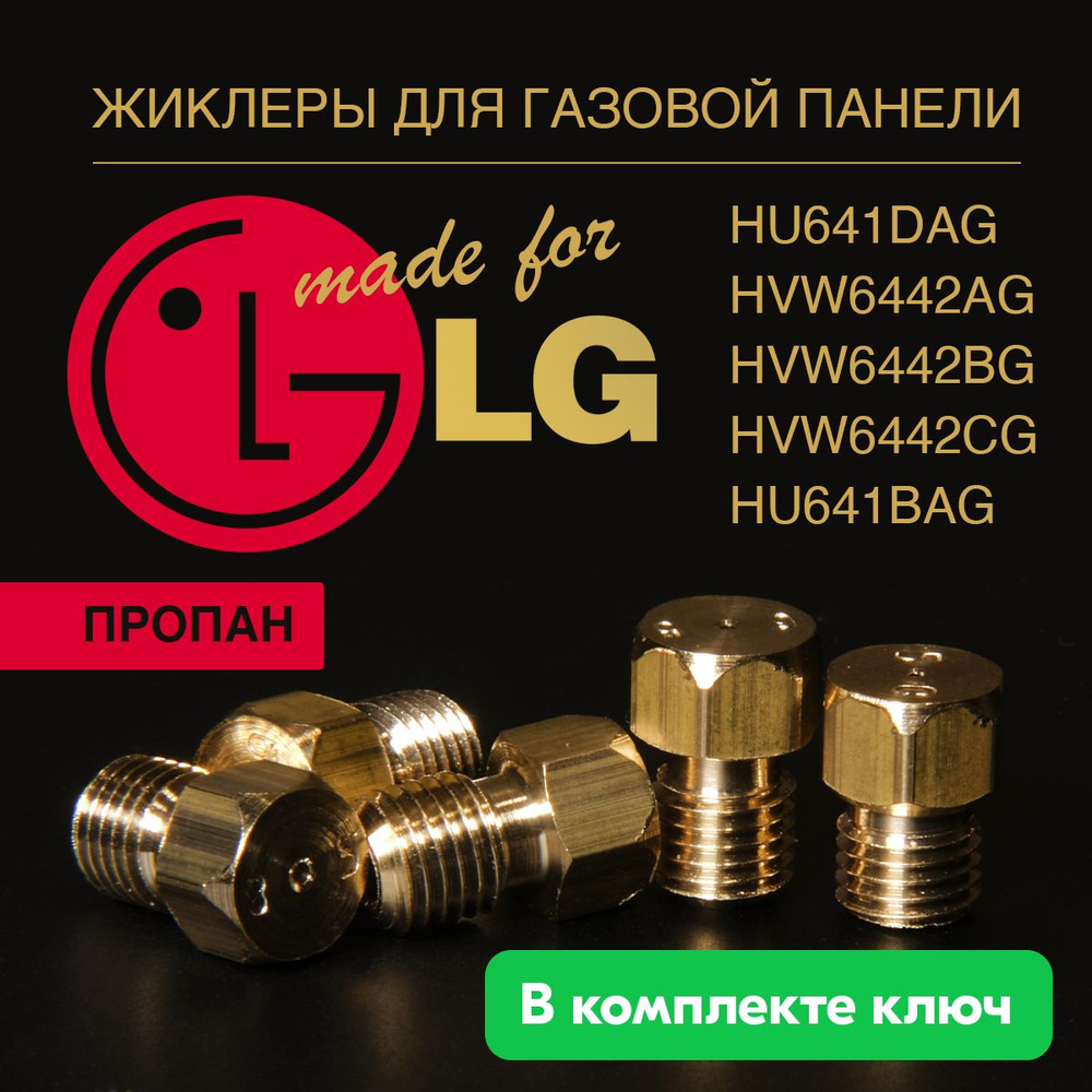 LG панель / Жиклеры (форсунки) для варочной газовой панели (балонный газ) -  купить с доставкой по выгодным ценам в интернет-магазине OZON (1276075684)